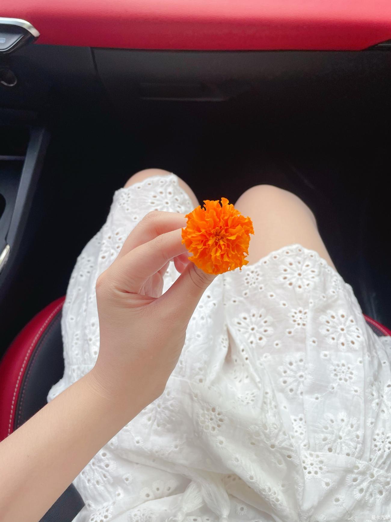 女友当模特，顺便分享一下帝豪S的使用感受！