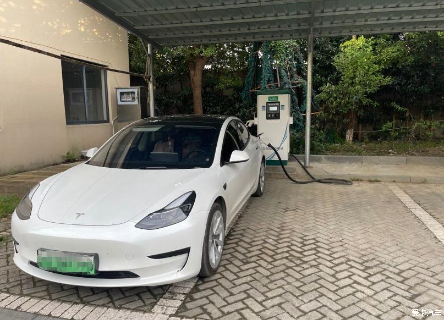 分享几张图，毛豆3短途小游记