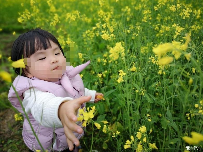 兄弟齐心，其利断金—启辰兄弟