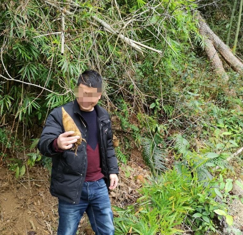 兄弟齐心，其利断金—启辰兄弟