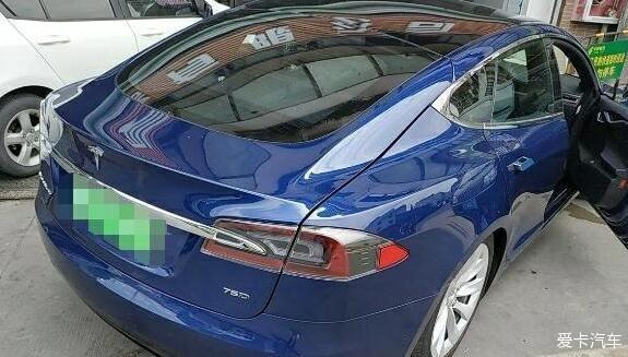 选择Model S 论韭菜的成长与收获