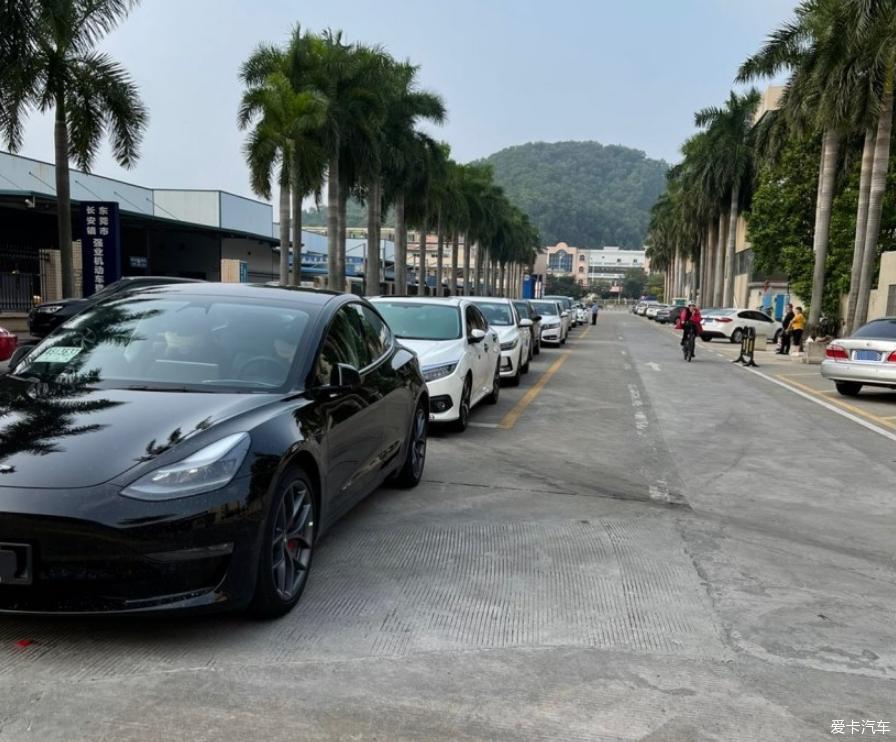 Model 3 Performance购车分享