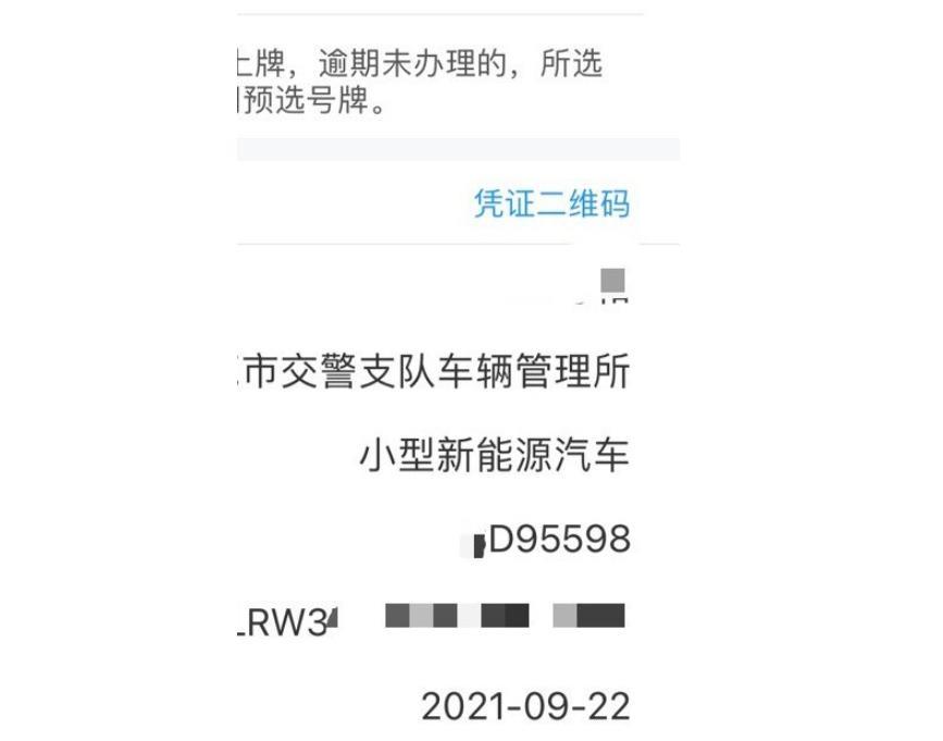 Model 3 Performance购车分享