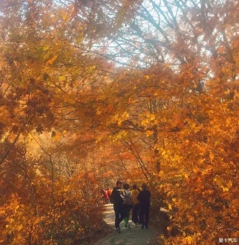 带着我的GS3看不一样的风景
