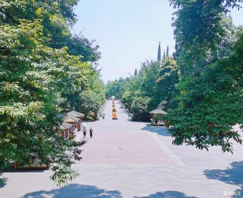 踏实感来自运动的爱车Q7