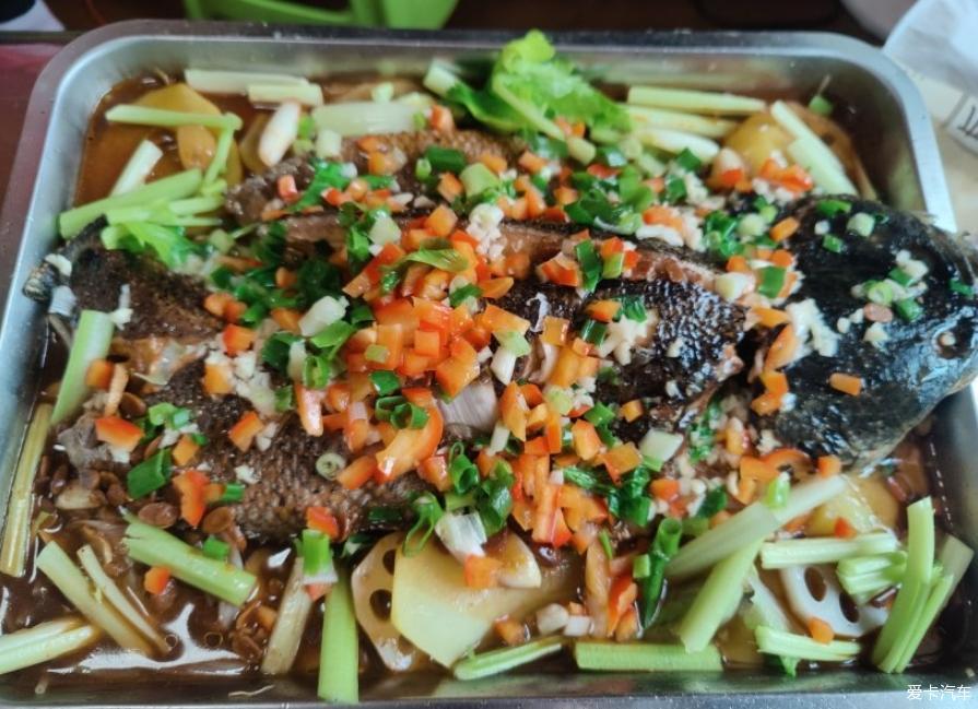 开着小轩去体检