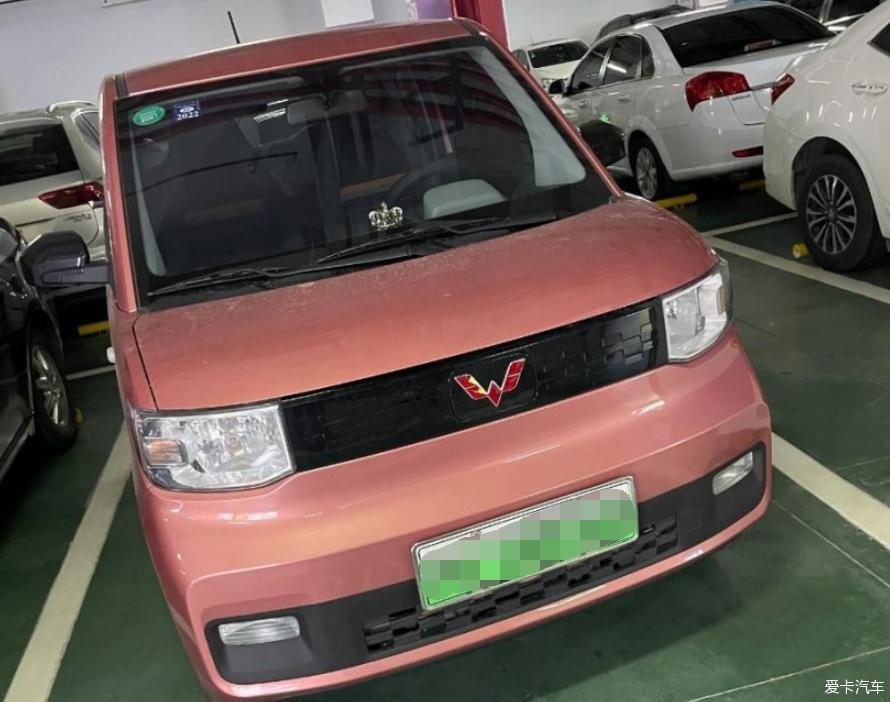 国产毛豆3也还是不错的