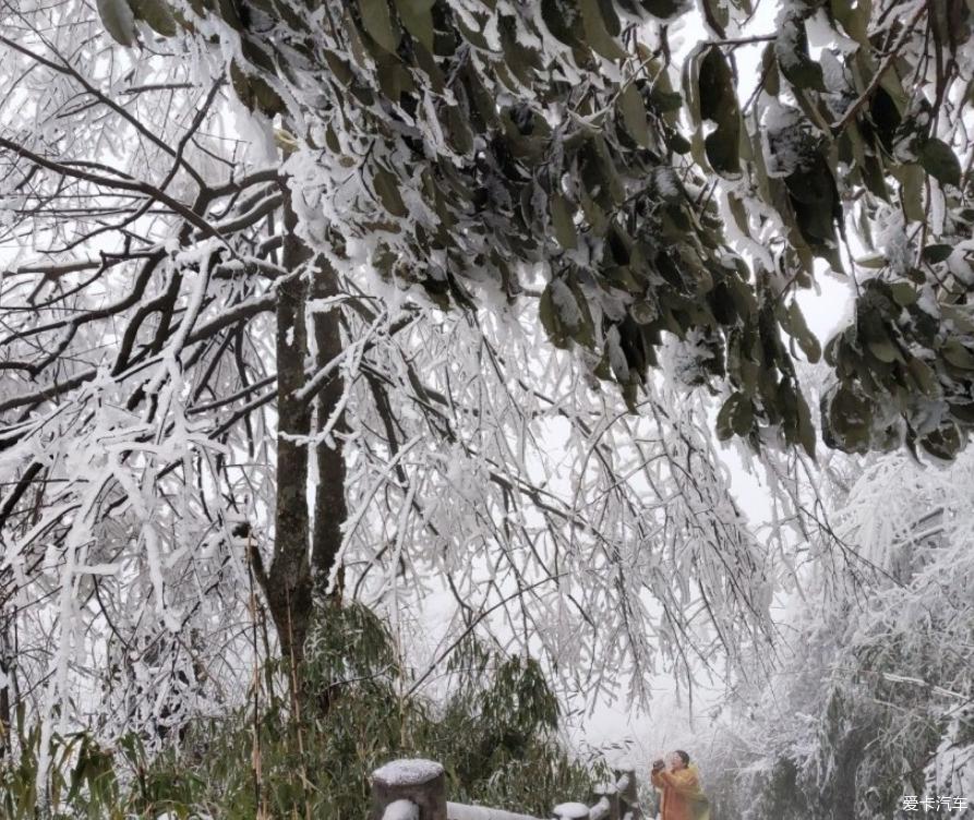 自驾去峨眉山看雪
