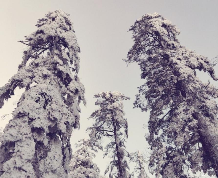 自驾去峨眉山看雪