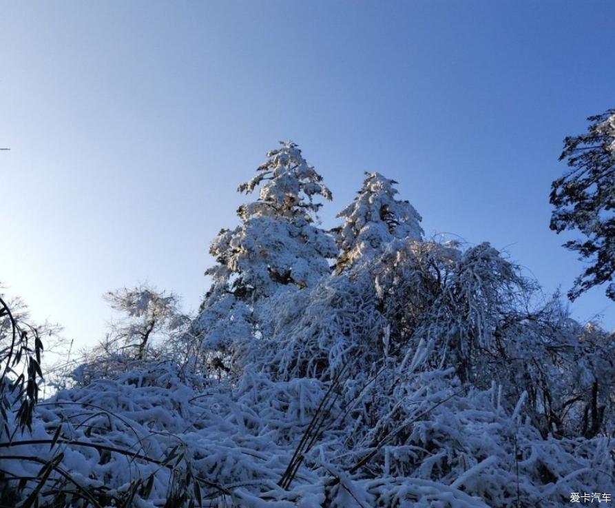 自驾去峨眉山看雪