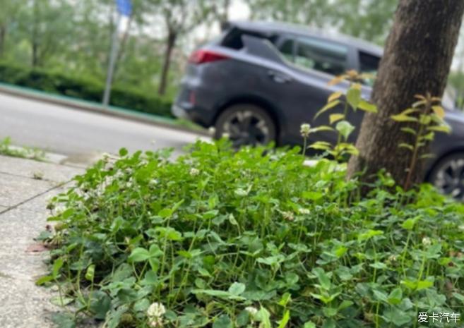 低调有内涵的GS3
