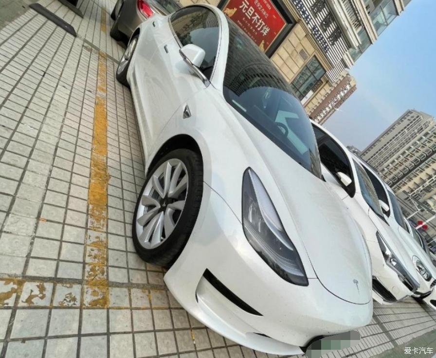 行走的小白和我