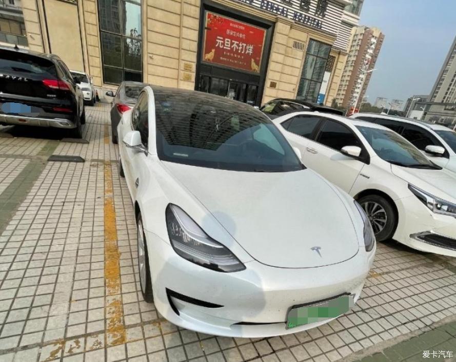 行走的小白和我