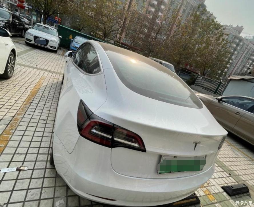 行走的小白和我