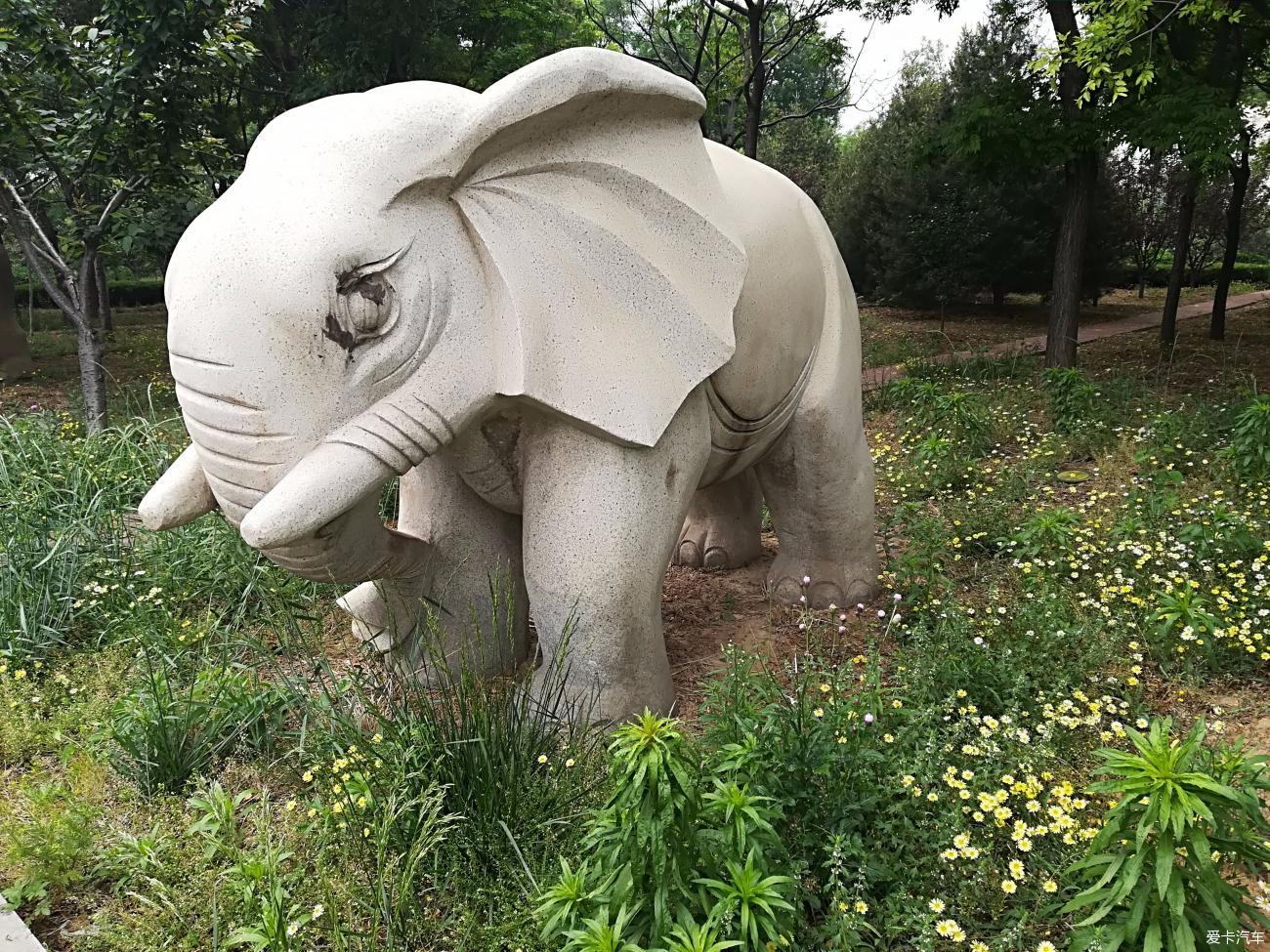 星瑞——无悔的选择