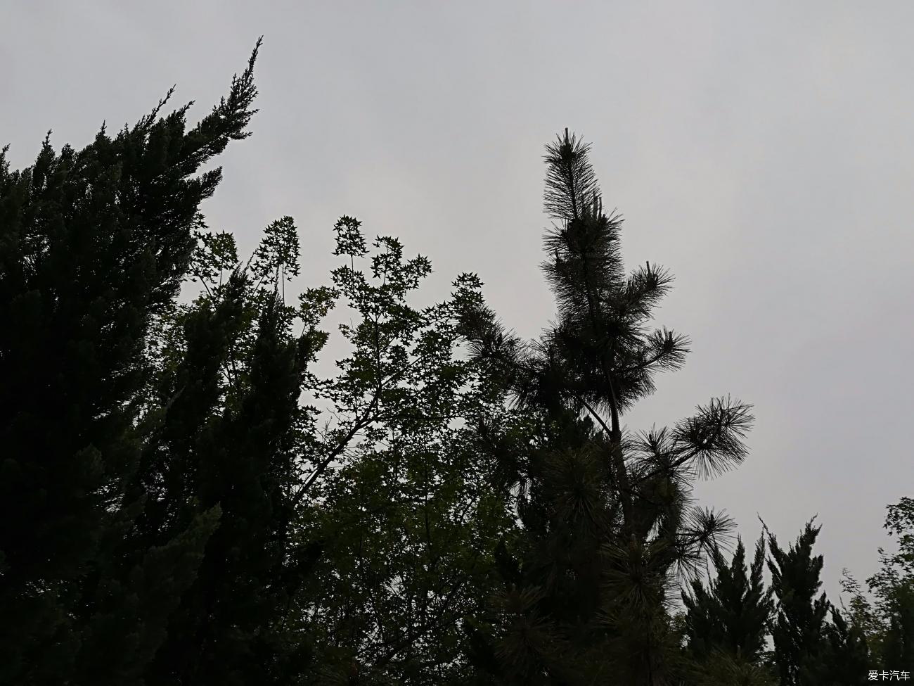星瑞——无悔的选择