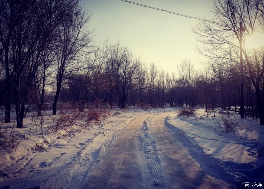 分享一波大九和雪的世界