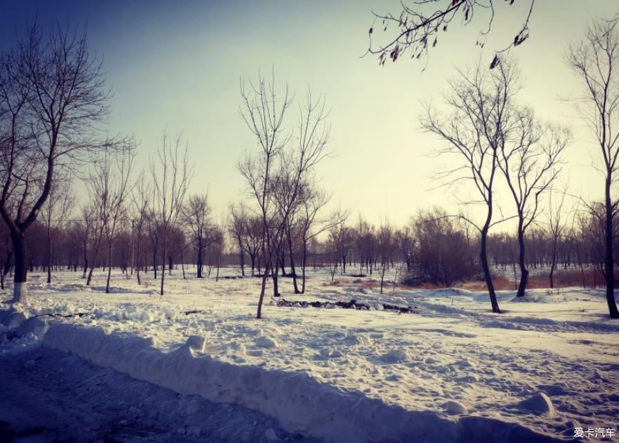 分享一波大九和雪的世界