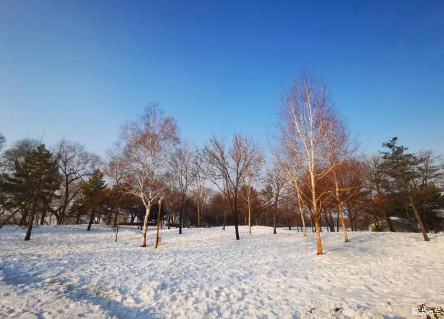 分享一波大九和雪的世界