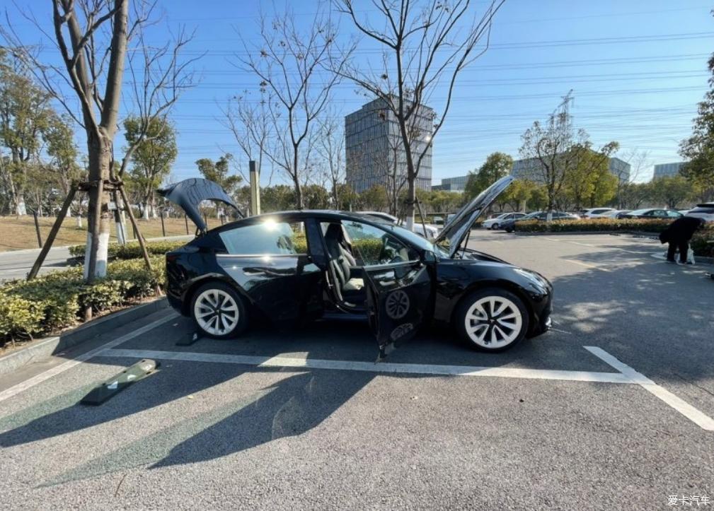 毛豆3提车正当时