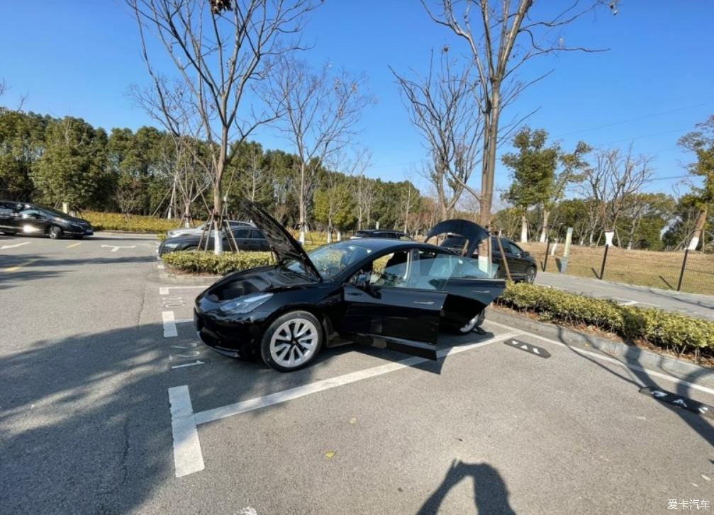 毛豆3提车正当时