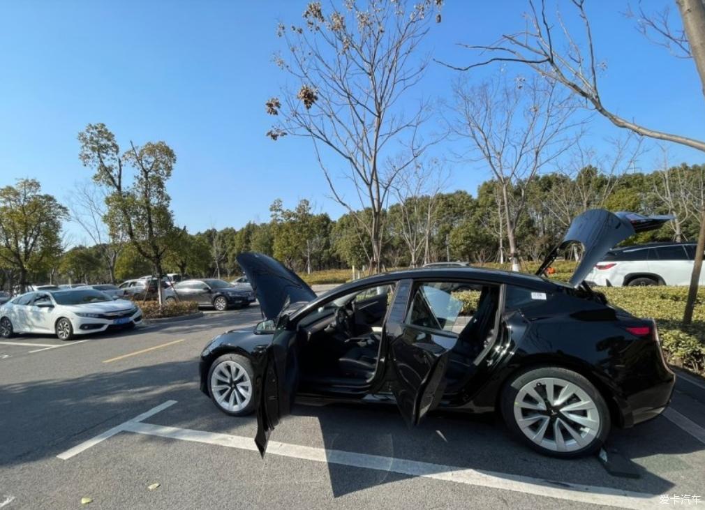 毛豆3提车正当时
