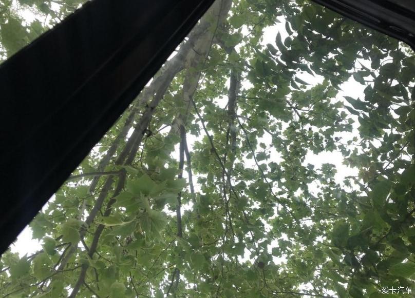 有君越，享受美好生活！