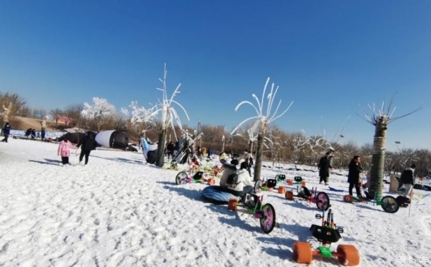 逸起去玩雪