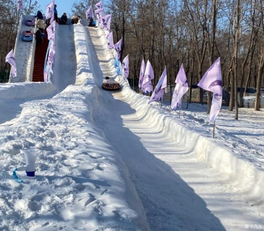 逸起去玩雪