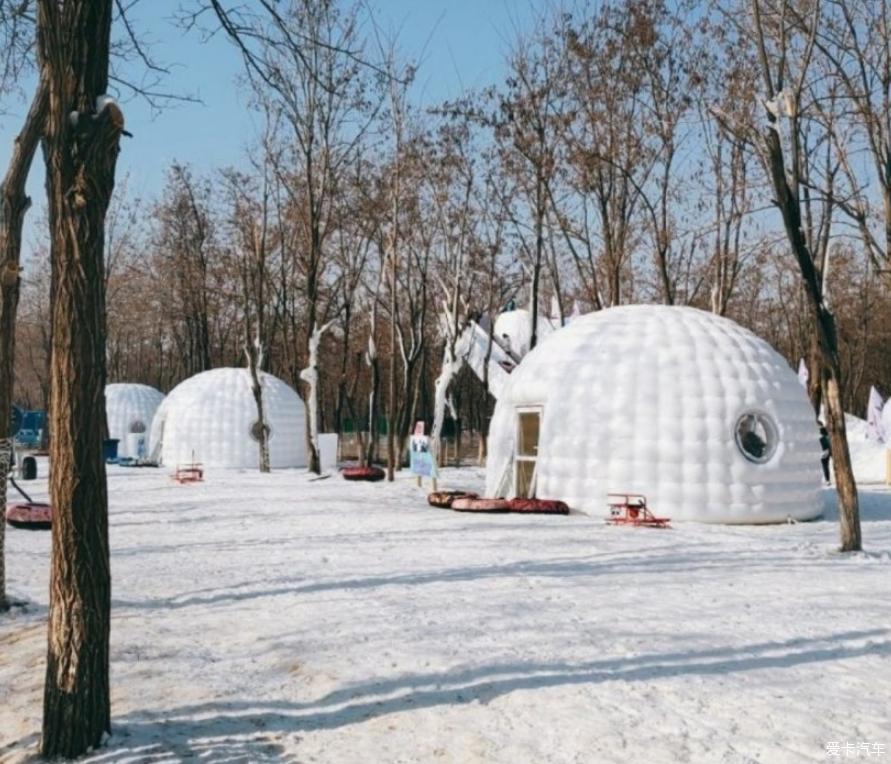 逸起去玩雪