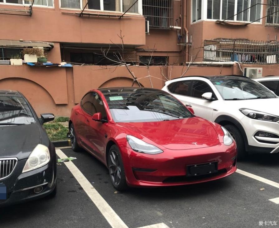 果断下单红色毛豆3