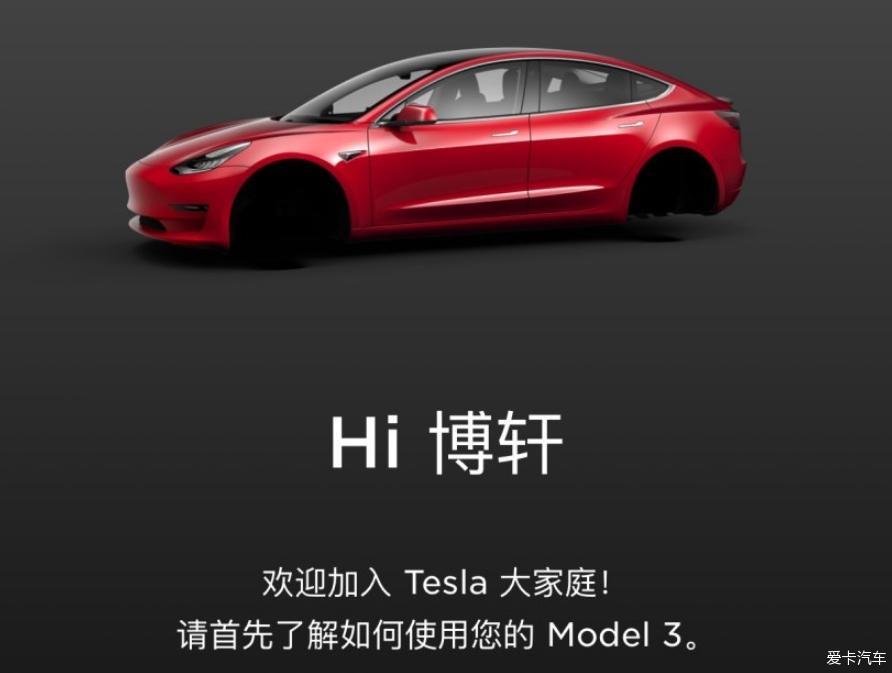 果断下单红色毛豆3