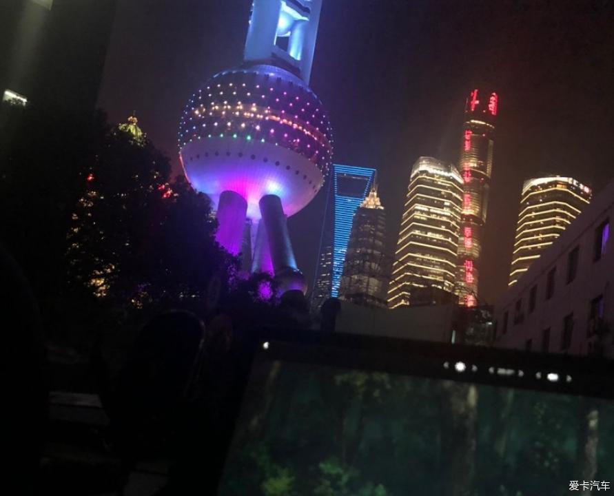果断下单红色毛豆3