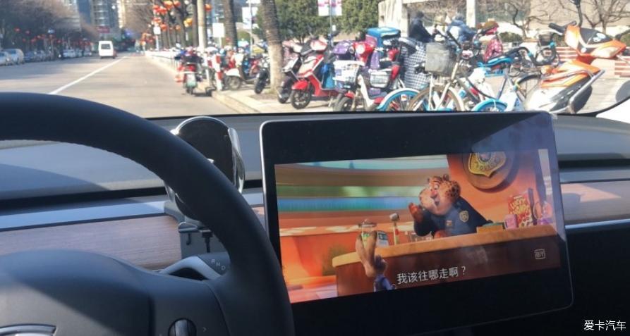 果断下单红色毛豆3