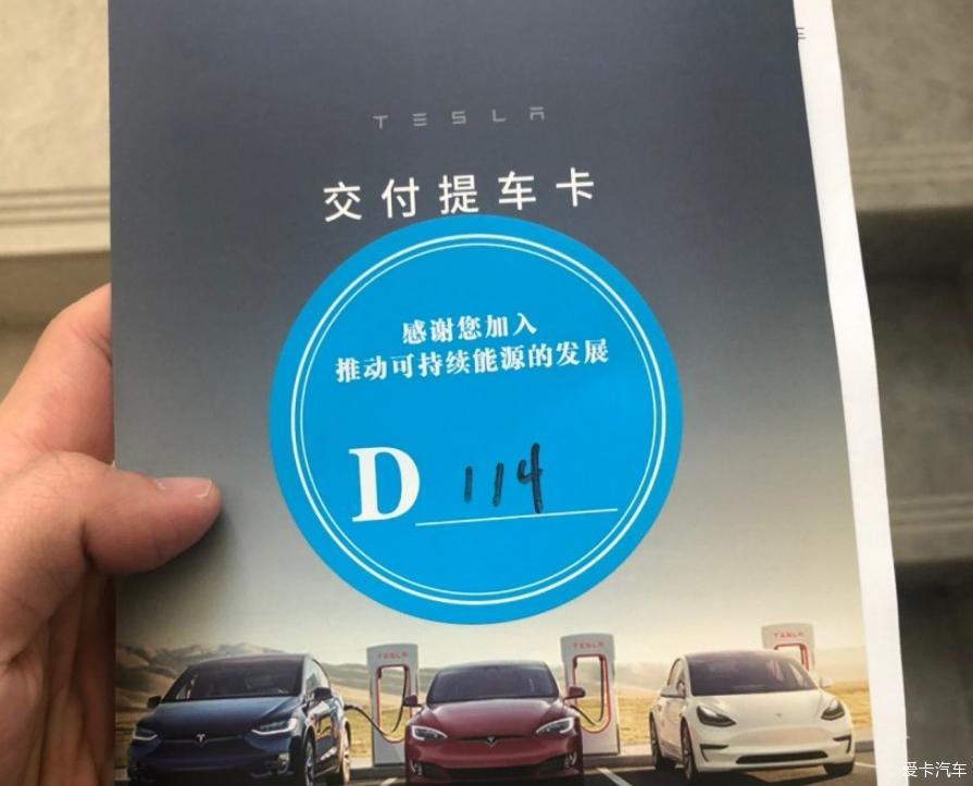 果断下单红色毛豆3