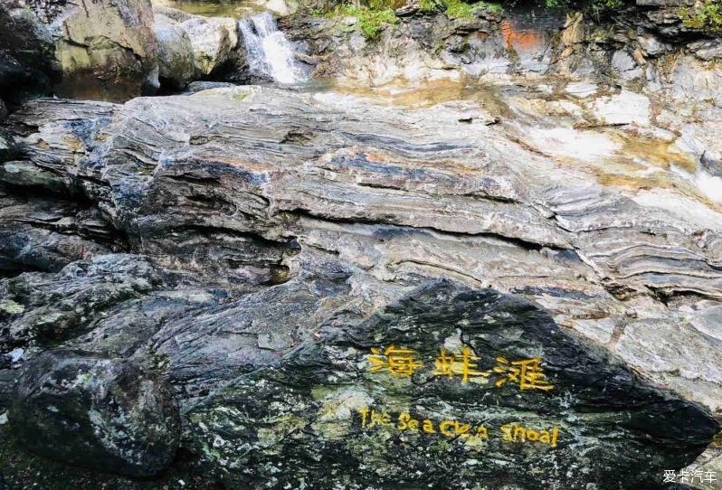 气派稳重的“Q7”