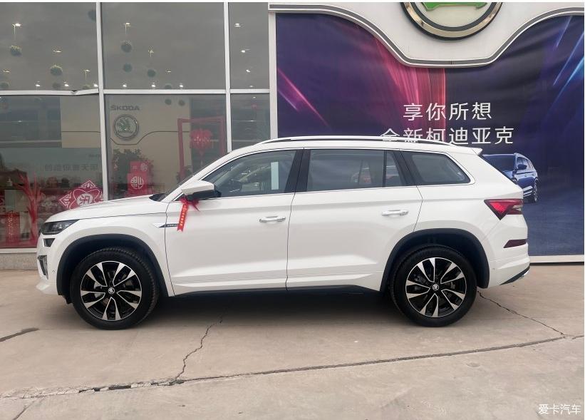 喜提大白熊--柯迪亚克 有和我一样跨省的吗